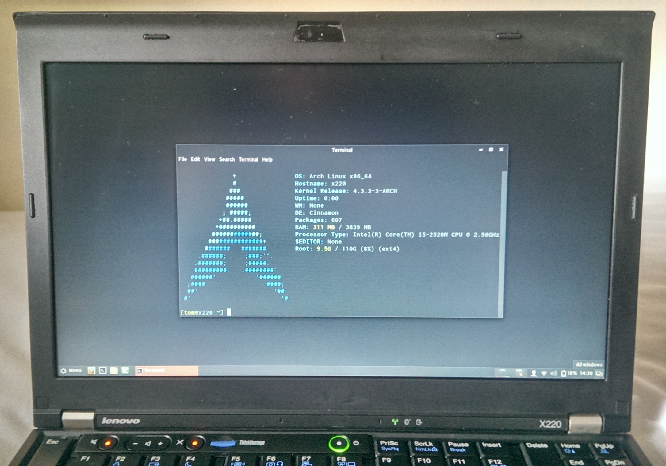 The ThinkPad running Arch Linux.